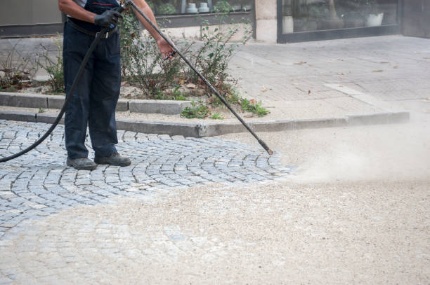 Best Dumpster Area Cleaning  in South Valley, NM