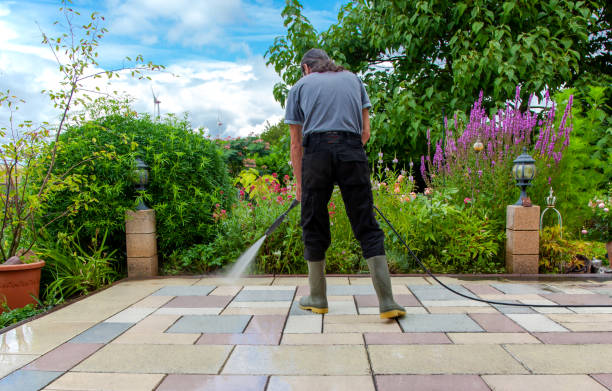 Best Driveway Pressure Washing  in South Valley, NM