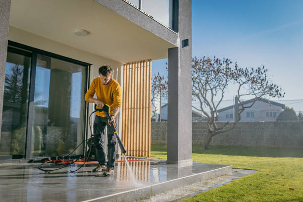 Best Fence Cleaning  in South Valley, NM